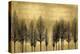 Tree Line on Gold-Kate Bennett-Stretched Canvas