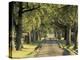 Tree-Lined Driveway, Bluegrass Region, Lexington, Kentucky, USA-Adam Jones-Premier Image Canvas