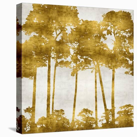 Tree Lined In Gold II-Kate Bennett-Stretched Canvas