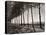 Tree Lined Street Along the Shore of Beautiful Shores of Lake Balaton-Margaret Bourke-White-Premier Image Canvas