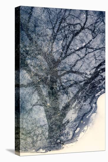 Tree on Ice-Ursula Abresch-Premier Image Canvas