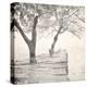 Tree Pier-Kimberly Allen-Stretched Canvas