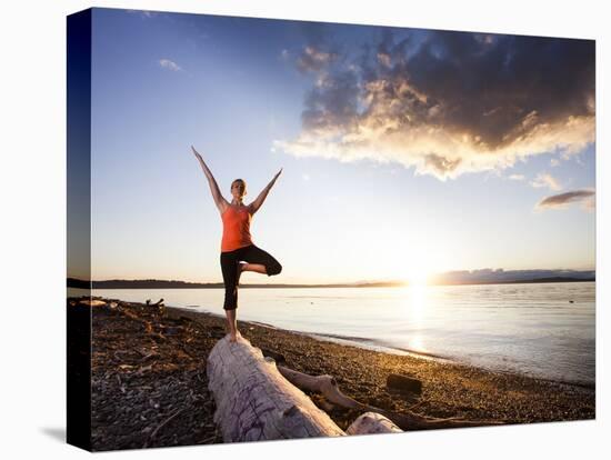 Tree Pose During Sunset on the Beach of Lincoln Park, West Seattle, Washington-Dan Holz-Premier Image Canvas