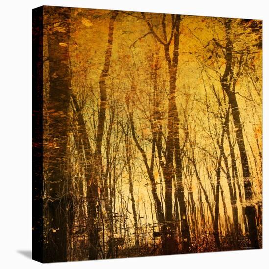 Tree Reflections-Irene Suchocki-Premier Image Canvas