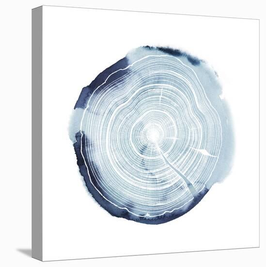 Tree Ring Overlay III-Grace Popp-Stretched Canvas