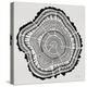 Tree Rings in Black on White-Cat Coquillette-Premier Image Canvas