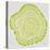 Tree Rings in Lime-Cat Coquillette-Premier Image Canvas