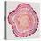 Tree Rings in Pink-Cat Coquillette-Premier Image Canvas