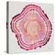 Tree Rings in Pink-Cat Coquillette-Premier Image Canvas