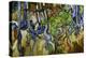 Tree Roots and Tree Trunks-Vincent van Gogh-Premier Image Canvas