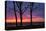 Tree Silhouettes at Sunrise, Maine Coast-Vincent James-Premier Image Canvas