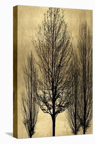 Tree Silhutette on Gold II-Kate Bennett-Stretched Canvas