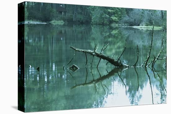 Tree Sticking Out of Water in Swamp-null-Premier Image Canvas