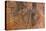 Tree Stump Detail-Panoramic Images-Premier Image Canvas