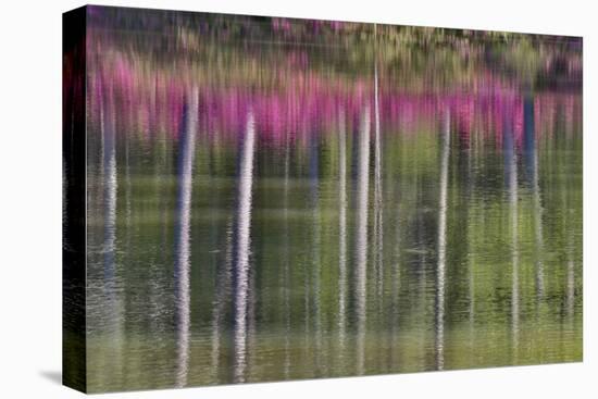 Tree trunks and azaleas reflected in calm pond, Georgia-Darrell Gulin-Premier Image Canvas