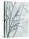 Tree with White Sky II-Jennifer Goldberger-Stretched Canvas