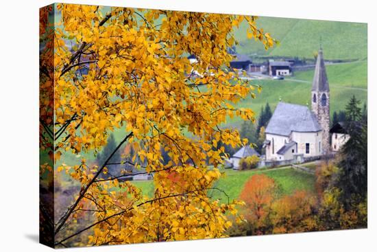 Tree with yellow leaves with the church of Santa Magdalena in the background, Funes Valley, Sudtiro-Francesco Bergamaschi-Premier Image Canvas