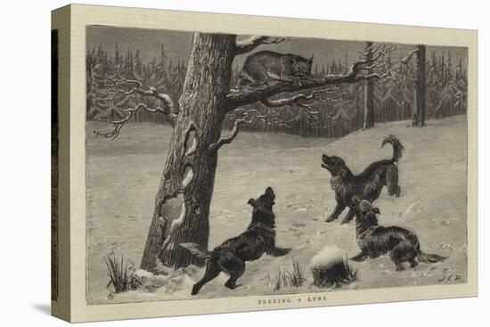 Treeing a Lynx-John Charles Dollman-Premier Image Canvas