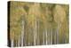 Treeline Haze - Vista-Paul Duncan-Stretched Canvas