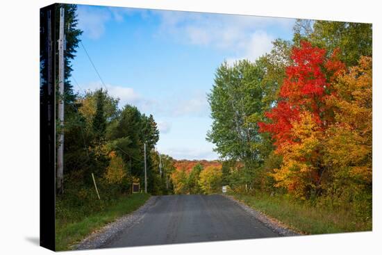 Trees along road in autumn, Ontario, Canada-null-Premier Image Canvas