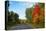 Trees along road in autumn, Ontario, Canada-null-Premier Image Canvas