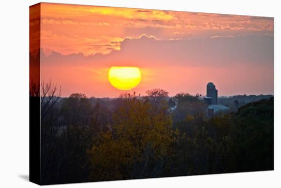 Trees and Farm Sunset, Wisconsin, USA-null-Stretched Canvas