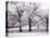 Trees and Fence in Snowy Field-Robert Llewellyn-Premier Image Canvas