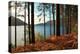 Trees and Fern during Autumn in Front of Loch Lomond, Scotland, Uk.-pink candy-Premier Image Canvas