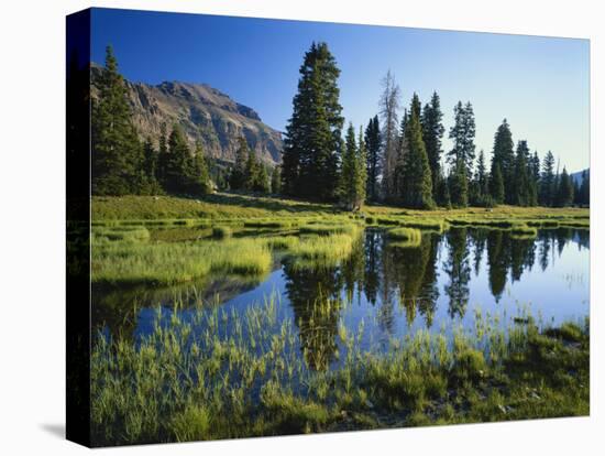 Trees and Grass Reflecting in Pond, High Uintas Wilderness, Wasatch National Forest, Utah, USA-Scott T. Smith-Premier Image Canvas