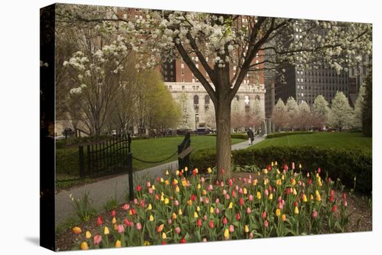 Trees and Tulips in Blloom in Mellon Green, Pittsburgh, Pa-Dave Bartruff-Premier Image Canvas