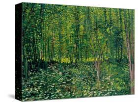 Trees and Undergrowth, c.1887-Vincent van Gogh-Premier Image Canvas