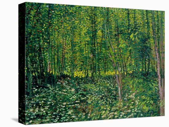 Trees and Undergrowth, c.1887-Vincent van Gogh-Premier Image Canvas