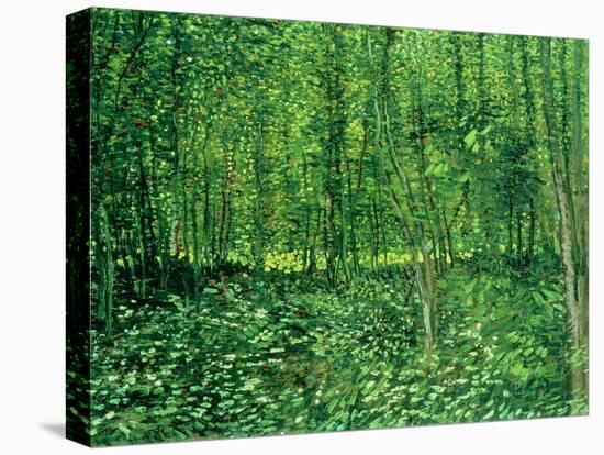 Trees and Undergrowth, c.1887-Vincent van Gogh-Premier Image Canvas