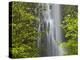 Trees and Waterfall with Caldeirao Verde, Queimados, Madeira, Portugal-Rainer Mirau-Premier Image Canvas