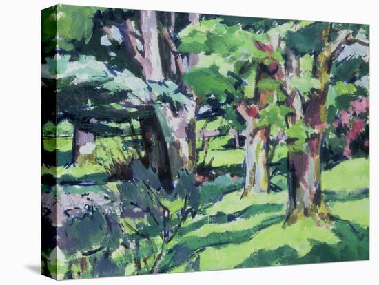 Trees at Auchinleck, Ayrshire-Francis Campbell Boileau Cadell-Premier Image Canvas