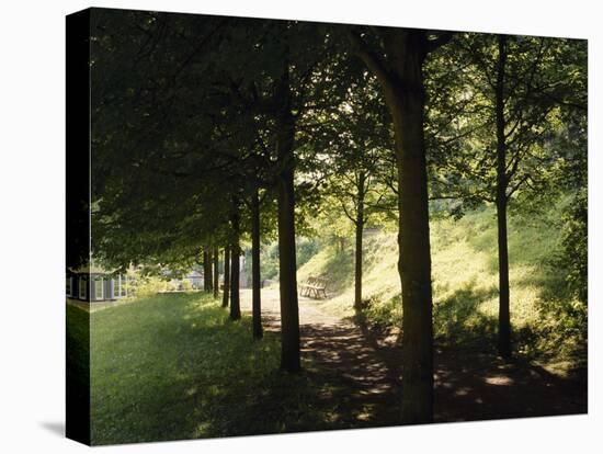 Trees at Bensheim, Staatspark Furstenlager - Germany-Roman von-Premier Image Canvas
