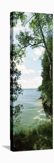 Trees at the Lakeside, Cave Point County Park, Lake Michigan, Door County, Wisconsin, USA-null-Stretched Canvas