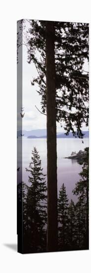 Trees at the Seaside, Teddy Bear Cove, Chuckanut Bay, Skagit County, Washington State, USA-null-Premier Image Canvas