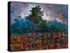 Trees for days-Joseph Marshal Foster-Stretched Canvas