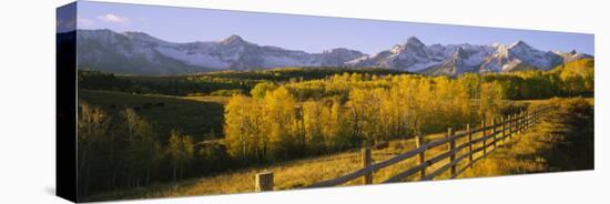 Trees in a Field Near a Wooden Fence, Dallas Divide, San Juan Mountains, Colorado, USA-null-Premier Image Canvas
