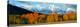 Trees in a Forest with Snowcapped Mountain Range in the Background, Teton Range, Oxbow Bend-null-Premier Image Canvas