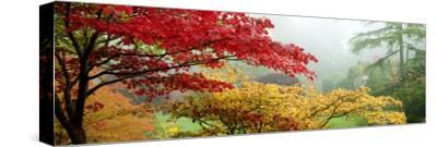 Trees in A Garden, Butchart Gardens, Victoria, Vancouver Island, British Columbia, Canada Color Pop by Panoramic Images - Gallery-Wrapped Canvas Giclé