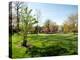 Trees in a Garden, Sherwood Gardens, Baltimore, Maryland, USA-null-Stretched Canvas