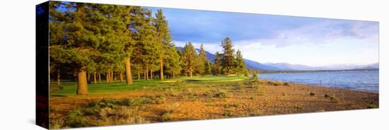 Trees in a Golf Course, Edgewood Tahoe Golf Course, Stateline, Nevada, USA-null-Premier Image Canvas