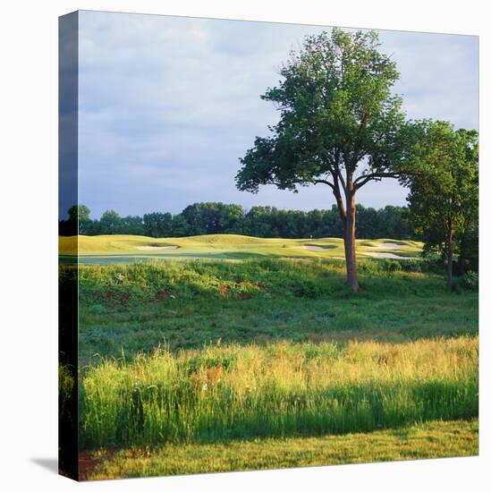 Trees in a Golf Course, Heron Glen Golf Club, Ringoes, New Jersey, USA-null-Premier Image Canvas