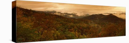 Trees in Autumn, Black Rock Mountain State Park, Georgia, USA-null-Premier Image Canvas