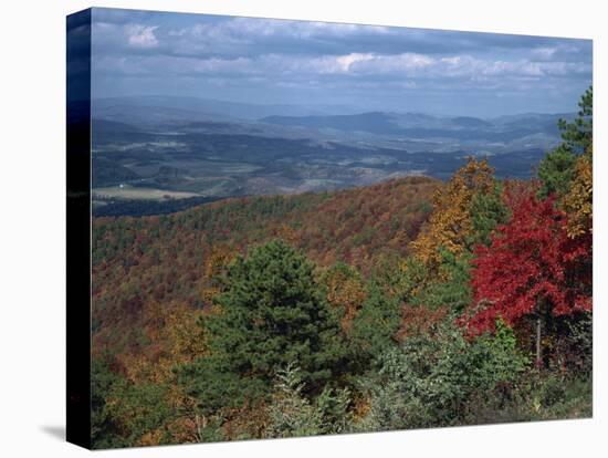 Trees in Fall Colours with Agricultural Land in the Background in Blue Ridge Parkway, Virginia, USA-James Green-Premier Image Canvas