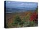 Trees in Fall Colours with Agricultural Land in the Background in Blue Ridge Parkway, Virginia, USA-James Green-Premier Image Canvas