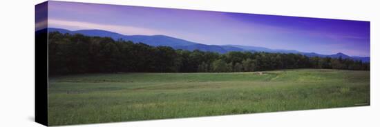 Trees in Rockbridge County, Shenandoah Valley, Virginia, USA-null-Premier Image Canvas