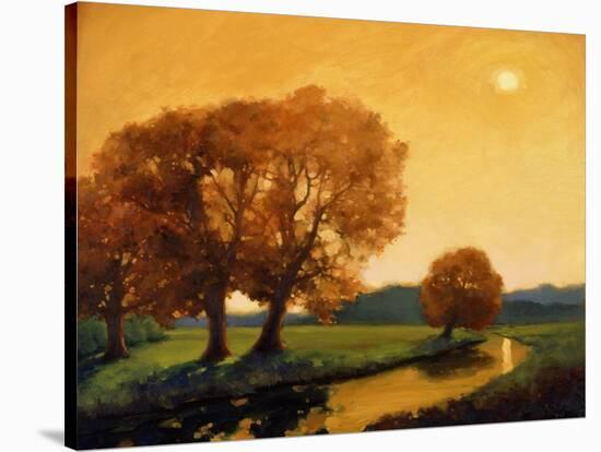 Trees in summer-Vincent McIndoe-Stretched Canvas